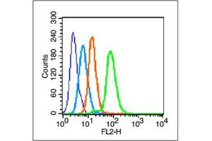 Image no. 4 for anti-Jun Proto-Oncogene (JUN) (AA 31-331) antibody (ABIN671691)