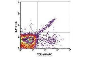 Flow Cytometry (FACS) image for anti-TCR V Gamma1.1/Cr4 antibody (FITC) (ABIN2662030) (TCR V Gamma1.1/Cr4 antibody (FITC))