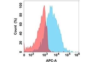 Flow cytometry analysis with Anti-F on Expi293 cells transfected with human F (Blue histogram) or Expi293 transfected with irrelevant protein (Red histogram). (FCRL5 antibody)