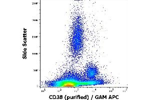 Flow cytometry surface staining pattern of human peripheral whole blood stained using anti-human CD38 (HIT2) purified antibody (concentration in sample 2 μg/mL, GAM APC). (CD38 antibody)