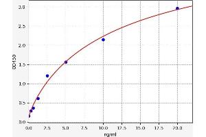 Typical standard curve (GALK1 ELISA Kit)