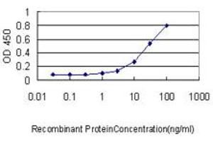 Detection limit for recombinant GST tagged RBBP4 is approximately 0. (Retinoblastoma Binding Protein 4 antibody  (AA 1-425))