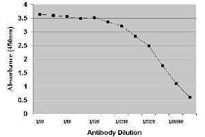 ELISA image for anti-Dehydroepiandrosterone (DHEA) antibody (ABIN2473305) (DHEA antibody)