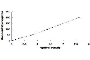 ELISA image for High Density Lipoprotein (HDL) ELISA Kit (ABIN1570219) (HDL ELISA Kit)