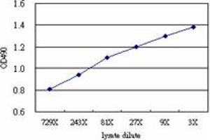 Sandwich ELISA detection sensitivity ranging from approximately 729x to 3x dilution of the GSTZ1 293T overexpression lysate (non-denatured). (GSTZ1 (Human) Matched Antibody Pair)