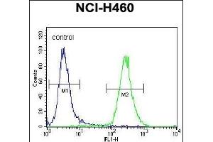 SOD2 Antibody (ABIN6242884 and ABIN6578999) flow cytometric analysis of NCI- cells (right histogram) compared to a negative control cell (left histogram). (SOD2 antibody)