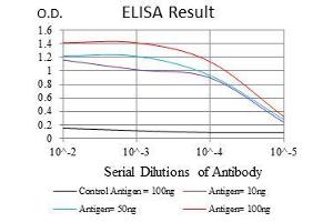 ELISA image for anti-Neurofilament, Light Polypeptide (NEFL) antibody (ABIN969548)