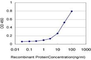 Detection limit for recombinant GST tagged RAPGEFL1 is approximately 1ng/ml as a capture antibody. (RAPGEFL1 antibody  (AA 1-99))