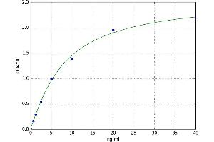 A typical standard curve (P4HA1 ELISA Kit)