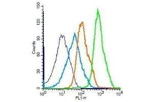 Flow Cytometry (FACS) image for anti-Mitogen-Activated Protein Kinase 3 (MAPK3) (AA 101-200) antibody (ABIN736476)