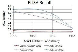 ELISA image for anti-Heat Shock 27kDa Protein 1 (HSPB1) antibody (ABIN969199)