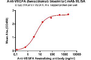 ELISA plate pre-coated by 1 μg/mL (100 μL/well) Human VEGFA , His tagged protein ABIN6964094, ABIN7042443 and ABIN7042444 can bind Anti-VEGFA Neutralizing antibody (ABIN7093077 and ABIN7272607) in a linear range of 0. (Recombinant VEGF (Bevacizumab Biosimilar) antibody)