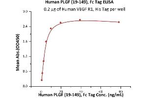 Immobilized Human VEGF R1, His Tag (ABIN2181915,ABIN2181916) at 2 μg/mL (100 μL/well) can bind Human PLGF (19-149), Fc Tag (ABIN6973194) with a linear range of 0. (PLGF Protein (AA 19-149) (Fc Tag))