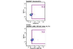 Image was kindly submitted by a researcher at Duke University Medical Center. (AIM2 antibody  (AA 255-354) (PE))