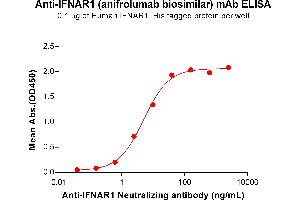 ELISA plate pre-coated by 1 μg/mL (100 μL/well) Human IF Protein, His Tag ABIN6964273, ABIN7042727 and ABIN7042728 can bind Anti-IF Neutralizing antibody (ABIN7478013 and ABIN7490965) in a linear range of 0. (Recombinant IFNAR1 (Anifrolumab Biosimilar) antibody)