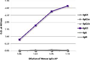 ELISA plate was coated with Goat Anti-Mouse IgG1, Human ads-UNLB was captured and quantified. (Mouse IgG3 isotype control (Alkaline Phosphatase (AP)))