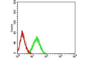 Flow cytometric analysis of HL-60 cells using CD89 mouse mAb (green) and negative control (red). (FCAR antibody  (AA 22-227))