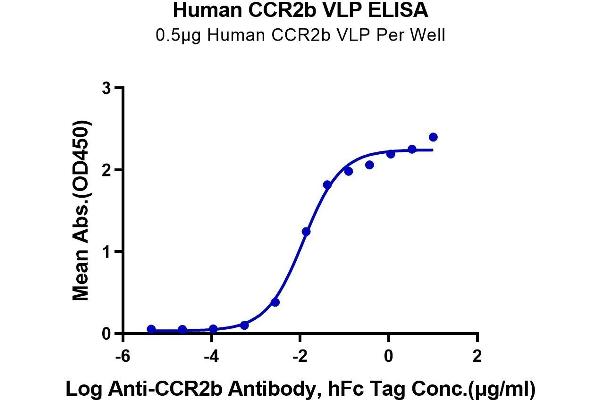 CCR2 Protein-VLP (AA 1-360)