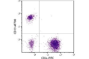 Human peripheral blood lymphocytes were stained with Mouse Anti-Human CD19-AF700. (CD19 antibody  (Cy5))