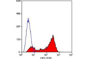 Staining of mouse spleen cells with Hamster anti Mouse CD79b:FITC (ABIN119197). (CD79b antibody  (FITC))