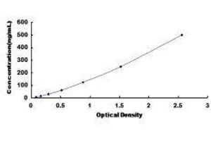 ELISA image for Hemoglobin ELISA Kit (ABIN1118090) (Hemoglobin ELISA Kit)