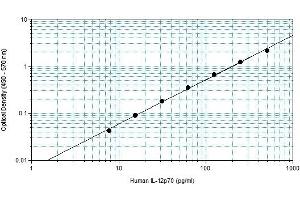 Enzyme Immunoassay (EIA) image for Interleukin 12 (IL12) ELISA Kit (ABIN2690982) (IL12 ELISA Kit)