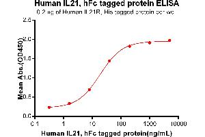 ELISA plate pre-coated by 2 μg/mL (100 μL/well) Human IL21R, His tagged protein ABIN7092745, ABIN7272298 and ABIN7272299 can bind Human IL21, hFc Tagged protein (ABIN6964397, ABIN7042851 and ABIN7042852) in a linear range of 1. (IL-21 Protein (AA 30-162) (Fc Tag))