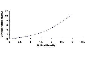 Typical standard curve (LRG1 ELISA Kit)