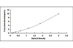 RGS5 ELISA Kit