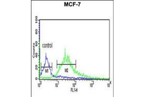 Flow cytometric analysis of MCF-7 cells (right histogram) compared to a negative control cell (left histogram). (Latexin antibody)