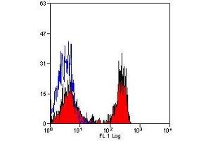 Flow Cytometry (FACS) image for anti-Signal-Regulatory Protein alpha (SIRPA) antibody (ABIN2478796) (SIRPA antibody)