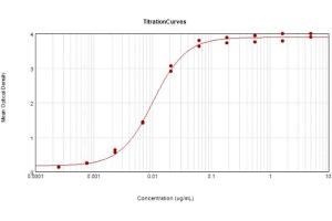 ELISA results of Goat Anti-Rabbit IgG Antibody Peroxidase Conjugated tested against purified Rabbit IgG protein. (Goat anti-Rabbit IgG (Heavy & Light Chain) Antibody (HRP))