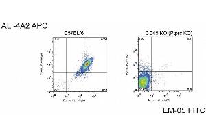 Surface staining of C57BL/6 cells and CD45 knock-out cells with anti-CD45 antibodies EM-05 and ALI-4A2. (CD45 antibody  (PE))