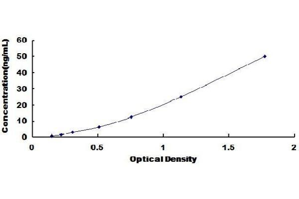 NGRN ELISA Kit