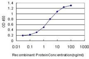Detection limit for recombinant GST tagged RUNX2 is approximately 0. (RUNX2 antibody  (AA 251-350))