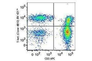 Flow Cytometry (FACS) image for True-Nuclear Transcription Factor Buffer Set (ABIN2669209) (True-Nuclear Transcription Factor Buffer Set)