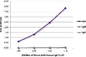 ELISA plate was coated with purified human IgG, IgM, and IgA. (Mouse anti-Human IgG (Fc Region) Antibody (Alkaline Phosphatase (AP)))