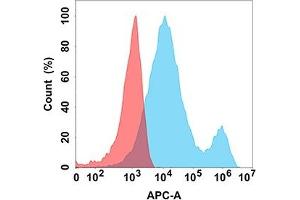 Flow cytometry analysis with Anti-LIGHT (DM170) on Expi293 cells transfected with human LIGHT (Blue histogram) or Expi293 transfected with irrelevant protein (Red histogram). (TNFSF14 antibody  (AA 99-330))