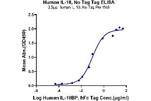 ELISA image for Interleukin 18 (IL18) protein (ABIN7274880)