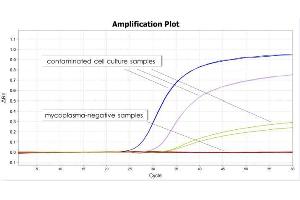 Quantitative real-time PCR (qPCR) image for PhoenixDx® Mycoplasma Mix (ABIN6720774)