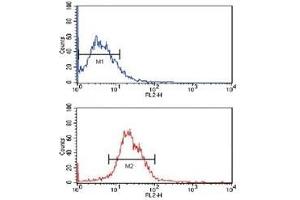 Flow cytometric analysis of MCF-7 cells using KLF4 antibody (bottom histogram) compared to a negative control (top histogram). (KLF4 antibody)