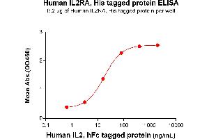 ELISA plate pre-coated by 2 μg/mL (100 μL/well) Human IL2RA Protein, His Tag (ABIN6964077, ABIN7042409 and ABIN7042410) can bind Human IL2 Protein, hFc Tag ABIN7092687, ABIN7272252 and ABIN7272253 in a linear range of 0. (CD25 Protein (AA 22-213) (His tag))