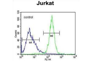 Flow Cytometry (FACS) image for anti-CWC22 Spliceosome-Associated Protein Homolog (CWC22) antibody (ABIN2995841) (CWC22 antibody)