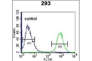 OGN Antibody (C-term) (ABIN655617 and ABIN2845097) flow cytometric analysis of 293 cells (right histogram) compared to a negative control cell (left histogram). (OGN antibody  (C-Term))