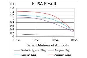 Fig. (PPARGC1B antibody  (AA 195-414))