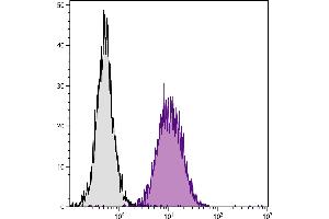 C57BL/6 mouse splenocytes were stained with Mouse Anti-Mouse H-2Db-FITC. (H2-D1 antibody)