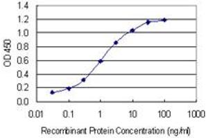 Detection limit for recombinant GST tagged TFEB is 0. (TFEB antibody  (AA 1-476))