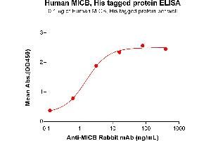 ELISA plate pre-coated by 1 μg/mL (100 μL/well) Human MICB protein, His Tag (ABIN6964108, ABIN7042471 and ABIN7042472) can bind Anti-MICB Rabbit mAb in a linear range of 0. (MICB Protein (AA 23-309) (His tag))