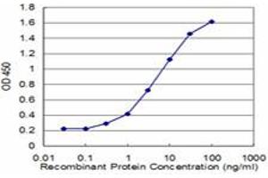 Detection limit for recombinant GST tagged CHP is approximately 0. (CHP antibody  (AA 1-66))