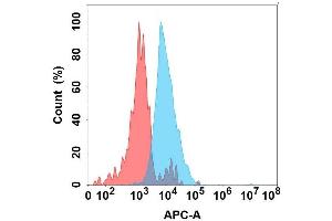 Flow cytometry analysis with Anti-IG on Expi293 cells transfected with human IG (Blue histogram) or Expi293 transfected with irrelevant protein (Red histogram). (IGFBP7 antibody)